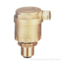 Brass exhaust valves